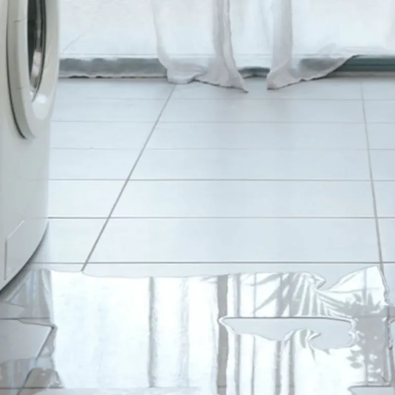 Appliance Leak Cleanup in Jackson, MN