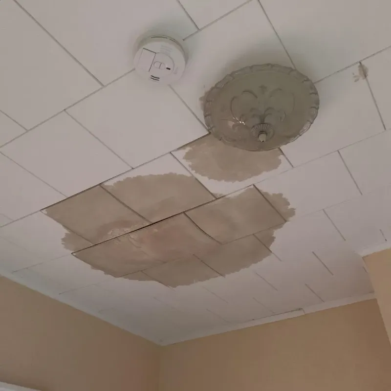 Ceiling Water Damage Repair in Jackson, MN